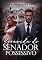 Livro Grávida do Senador Possessivo