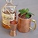 Double Jigger Bar Shot Glasses - Set of 2 Solid Copper Hammered (1oz/2oz) by Drinkware Essentials.