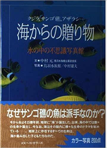 海からの贈り物 水の中の不思議写真館 クジラ サンゴ礁 アザラシ 中村 元 庸夫 中村 鳥羽水族館 本 通販 Amazon 海からの贈り物 水の中の不思議写真館 クジラ サンゴ礁 アザラシ 中村 元 庸夫 中村 鳥羽水族館 本 通販 Amazon
