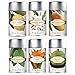 Tea Forté GREEN MANGO PEACH Organic Loose Leaf Green Tea, 3.5 Ounce Tea Tin