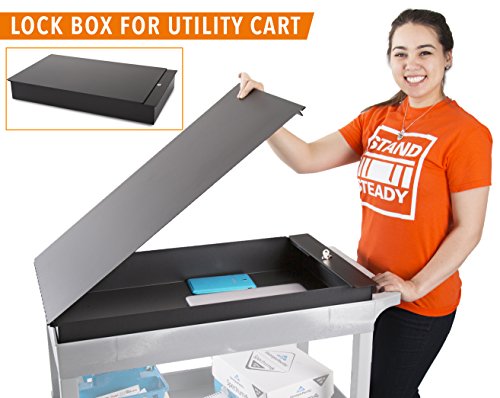 Utility Cart Lockbox / Locking Toolbox Add-on for Tubster Storage Carts - Lock Away Your Valuables! Ideal for Repair Shops, Warehouses, Industrial Facilities, and More! Heavy Duty! (32x18x4)