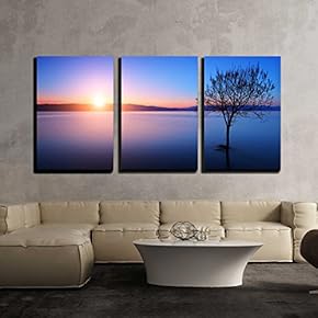 3 Piece Canvas Wall Art - Silhouette of Tree in Ohrid Lake, Macedonia at Sunset - Modern Home Art Stretched and Framed Ready to Hang - 16"x24"x3 Panels