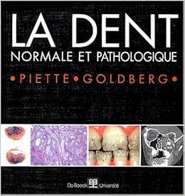 La Dent Normale Et Pathologique Hors Collection Sante French Edition Goldberg Michel Piette Etienne 9782804134891 Amazon Com Books