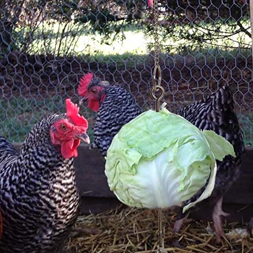 Chicken Feeders Fruit Vegetable Holder Chicken Skewer for Hens Bird Pet