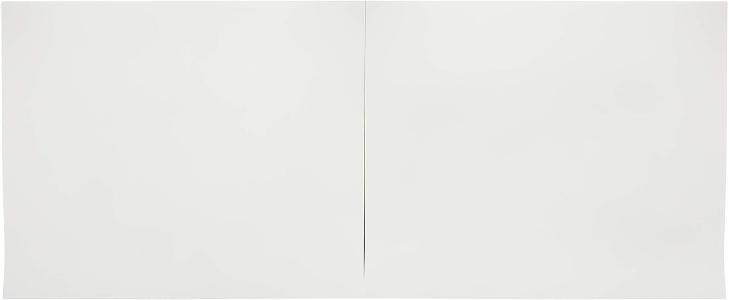 Strathmore (580-92 500 Series Bristol, 2-Ply Plate Surface, 14"x17", 15 Sheets: Arts, Crafts & Sewing
