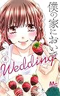 僕の家においで Wedding 第8巻
