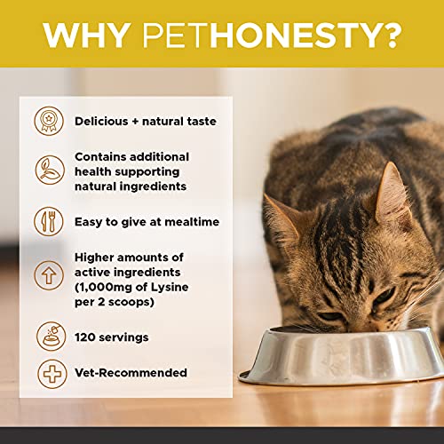PetHonesty Lysine Immune Health+ Supplement Powder for Cats Immune