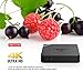Mini M8S Pro, U2C T95N Android TV Box Amlogic S905X Android 6.0 2G 8G WiFi Smart TV Box