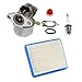 HURI Carburetor with Gasket Air Filter Primer Bulb Spark Plug for 14111 Craftsman 625 498170 6150 Engine