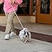 Cdycam 120cm 4ft Custom Pearls Beaded Pet Dog Cat Training Walking Leash Lead Leashes