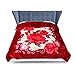 JYK 10 lbs King Ultra Silky Heavy Thick Korean Mink Bed Blanket, Two-Ply Printing Reversible (Flower&Red)