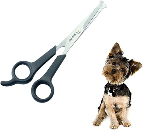 dog grooming equipment amazon
