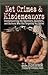 Net Crimes & Misdemeanors: Outmaneuvering the Spammers, Swindlers, and Stalkers Who Are Targeting You Online by J. A. Hitchcock