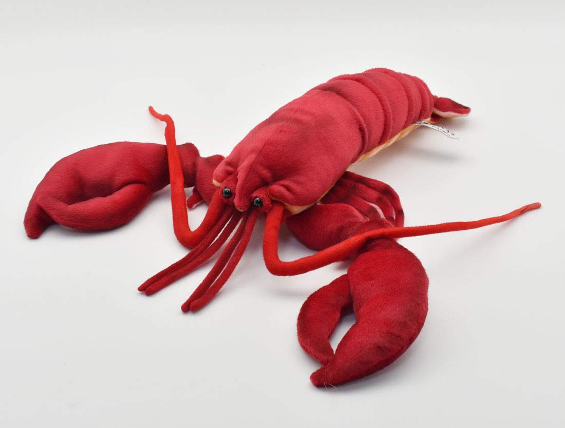 lobster cuddly toy
