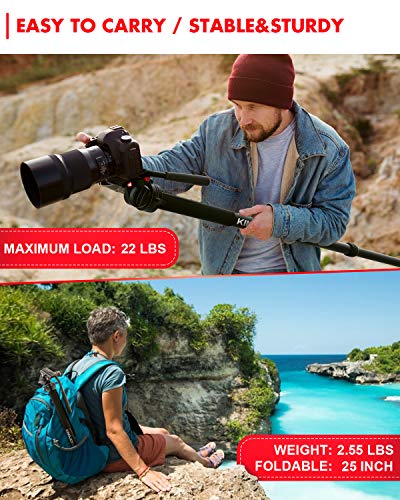 KINGJOY Video Monopod Kit, with Fluid Head and Removable Tripod Feet, 69 inch Max Height 22lbs Max Load for DSLR Cameras, MP3008+KH-6750