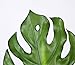 HNXZL 2 Pcs Artificial Monstera Plant Tropical palm Leaf Fake Flowers for Living Room Table Wedding Party Home Decorations
