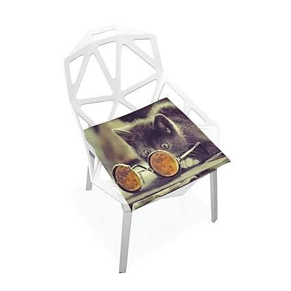 Amazon Com Seat Cushion Cool Cat Glass Chair Cushion