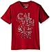 Calvin Klein Boys' Short Sleeve Legacy V-Neck T-Shirt, Red B4044, 4
