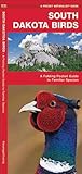 South Dakota Birds: A Folding Pocket Guide to Familiar Species (Pocket Naturalist Guide Series)