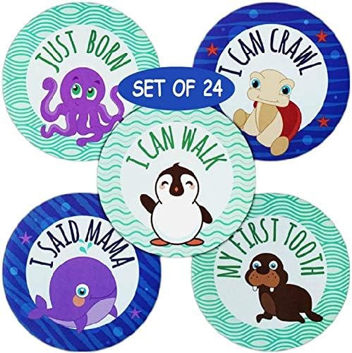 Baby Monthly Milestone Stickers - 24 Premium Stickers, Baby First Year Plus Bonus Achievements, Funny Messages and Family Portrait - The Perfect Baby Boy or Girl Shower Gift