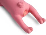 Petface Latex Lounging Pig Soft Chew Dog Toy view 2