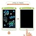 LCD Writing Tablet, Electronic Writing & Drawing Doodle Board with Screen Lock, Richgv 10