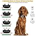 Hodekt Dog Bark Collar, Effective Bark Collar for Dogs, Sound, Vibration & Automatic 7 Levels 100% Waterproof Dog Shock Collar for for Small, Medium, Large Dogs, 2019 Newestthumb 2