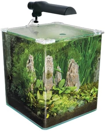 Fluval Chi Aquascape - House of Things Wallpaper