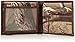 Carhartt Men's Camo Canvas Passcase Wallet
