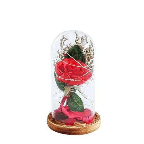 Other Celebrations Occasions Beauty And The Beast Enchanted Rose Glass Dome Led Lighted Wedding Decor Gift Home Furniture Diy Sheengenie Com Other Celebrations Occasions Beauty And The Beast Enchanted Rose Glass Dome Led Lighted Wedding Decor Gift Home Furniture Diy Sheengenie Com