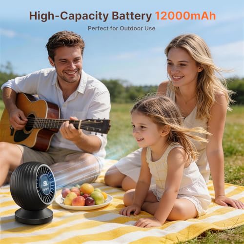 Quiet Table Fan 22dB, Powerful Turbo Air Circulation Fan with LCD Display, 120° Oscillation, 8 Speeds, Desk Fan for Office, Bedroom and Kitchen, Black