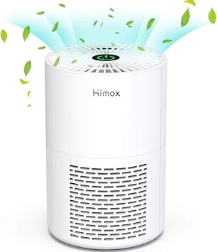 Himox Luftreiniger Mit Hepa Doppelschichtfilter Und Ionisator Usb Desktop Luftreiniger Fur Raucher Allergiker Mini Luftreiniger Gegen Pollen Staub Rauch Geruche Fur Buro Auto Amazon De Baumarkt