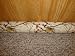 Door Draft Stopper Filled with Fragrant Balsam - Standard 2" X 38" - Chickadees - Quality USA Made