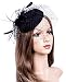 Fascinators Hats 20s 50s Hat Pillbox Hat Cocktail Tea Party Headwear with Veil for Girls and Women (1-B1-Black) primary