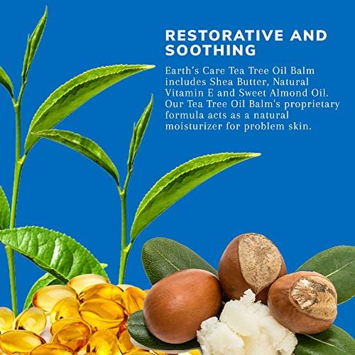 tea tree oil and shea butter for face