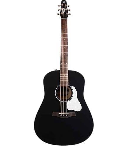 Amazon.com: SEAGULL S12 CH CW Spruce Sunburst GT Presys II