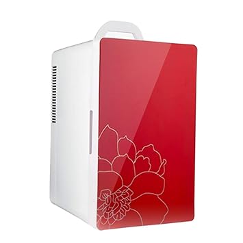 LXDDB Mini refrigerador para Autos Refrigerador eléctrico y ...