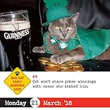 Image de Bad Cat Color Page-A-Day Calendar 2016