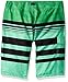 O'Neill Men's Catalina Avalon Board Short Shirt