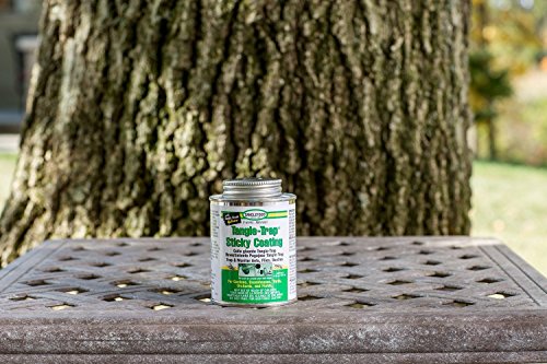 Tanglefoot Bundle 2 Products Tree Insect Barrier Tub + 8-Ounce Tangle-Trap Brush On Sticky Trap Coating - Thumbnail 3