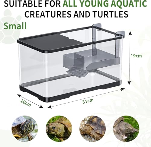 Homodoskey Acrylic Fish Aquarium Ultra Clear, Turtle Tank Starter Kit with Light & Filter, Innovative Bottom Drainage, Desktop Mini Habitat - Multi-Function Areas for Crabs & Small Reptiles (Size L)