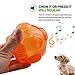 ACEONE Dog Squeaky Ball, Durable Pet Squeak Chew Bouncy Rubber Toy Balls for Small Large Dogs Indestructible Exercise Training Playing (2 Balls)