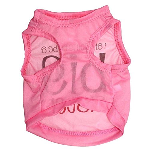 Ollypet Best Seller Girl Dog Clothes Shirt Big Sister Small Pet T shirt Funny Outfit XS/S/M/L