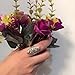 ANGEMIEL Ubei Jewelry 925 Sterling Silver Openwork Flowers and dragonfly Filigree Ring Size 10