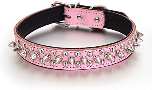 Rachel Pet Products Rivet Spiked Studded Genuine Leather Dog Collar for Small or Medium Pet