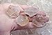 Fantasia Materials: 1 lb Quartz Rough Stones from Madagascar