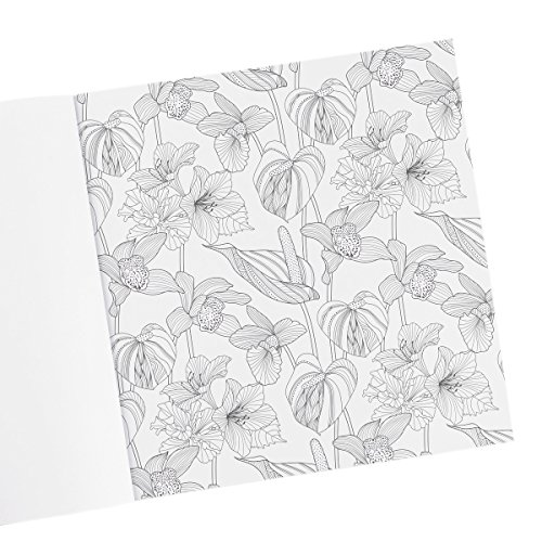 "Shine": Color Your Life Beautiful Inspirational Adult Coloring Book