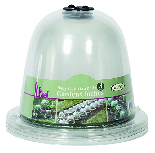 Tierra Garden 50-1110 Haxnicks Victorian Bell Plant Protector, Baby, 3-Pack