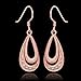 Women Rose Gold Plated Oval Dangle Earring Zircon Elegant Hook Eardrop