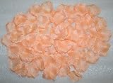 Wholesale Lot 3000 PCS Peach Color Silk Rose Petals Wedding Flower Decoration Wf-035